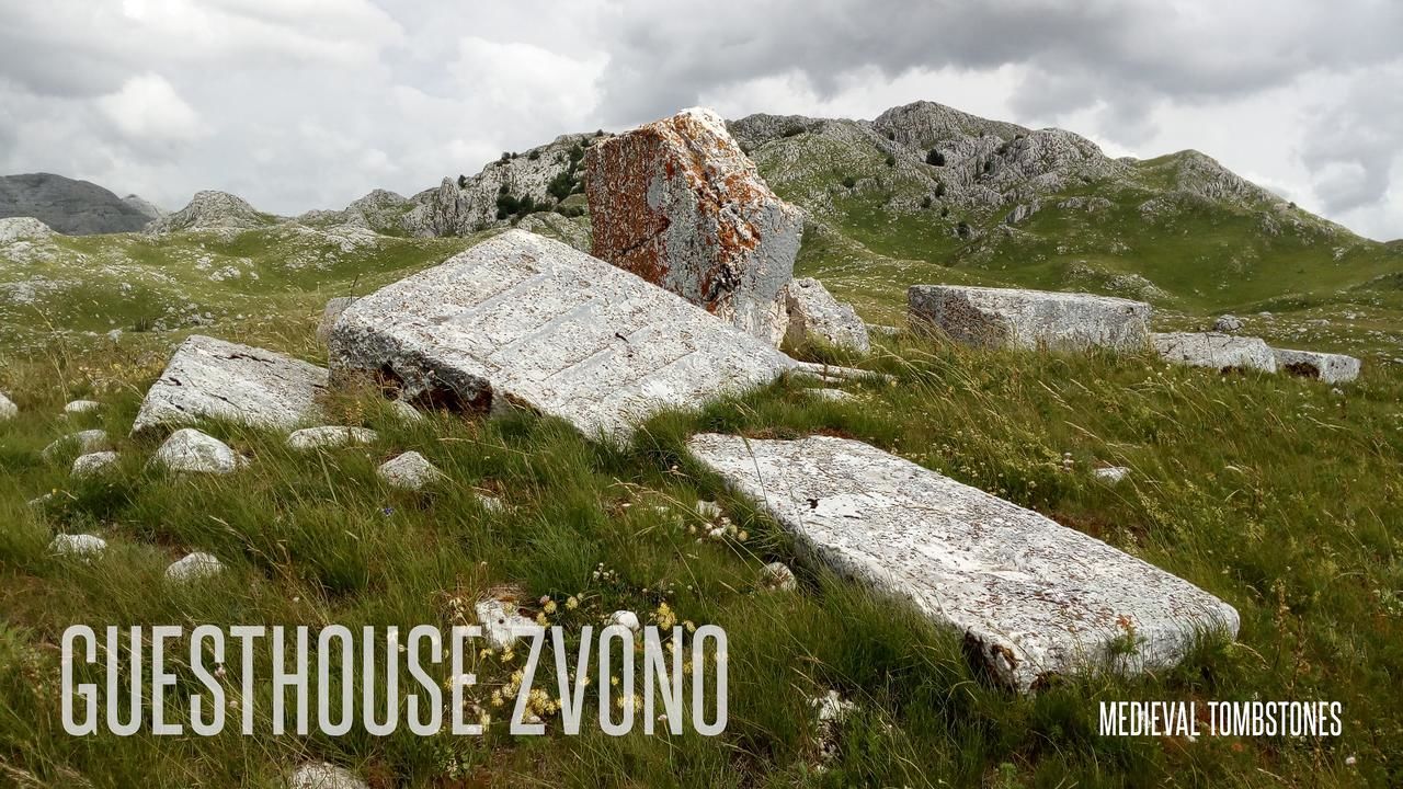 Мини-отель Guesthouse Zvono Плужине-25