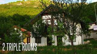 Мини-отель Guesthouse Zvono Плужине Трехместный номер-2