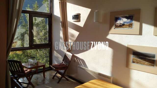 Мини-отель Guesthouse Zvono Плужине-3