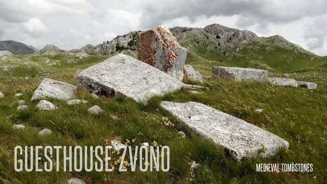 Мини-отель Guesthouse Zvono Плужине-24