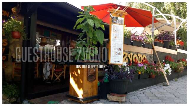 Мини-отель Guesthouse Zvono Плужине-6